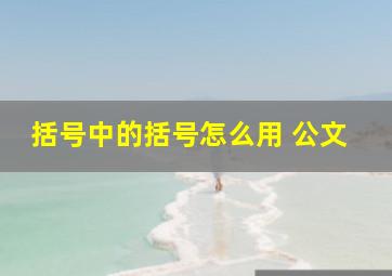 括号中的括号怎么用 公文